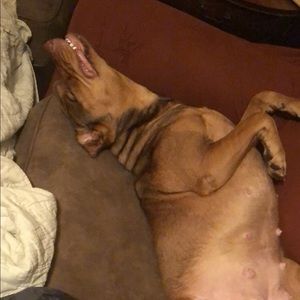 Meet your Posher, Kyle